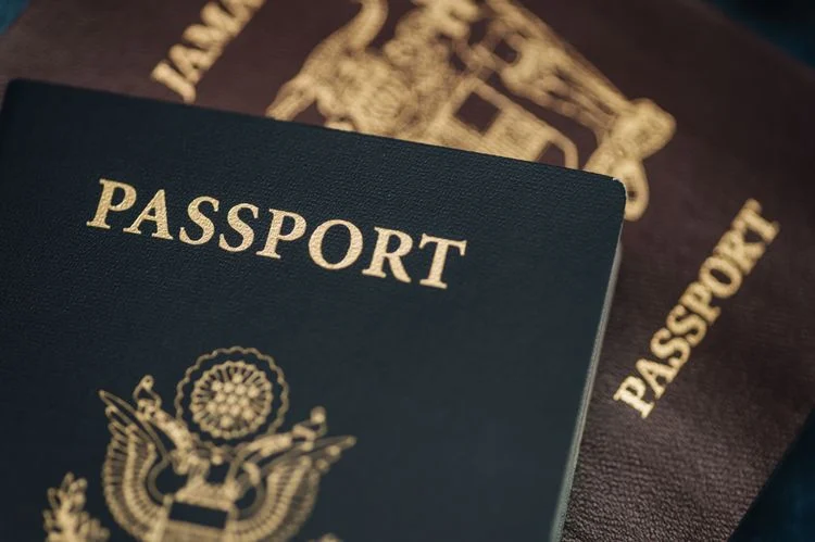 全球流动与出行